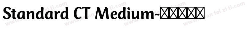 Standard CT Medium字体转换